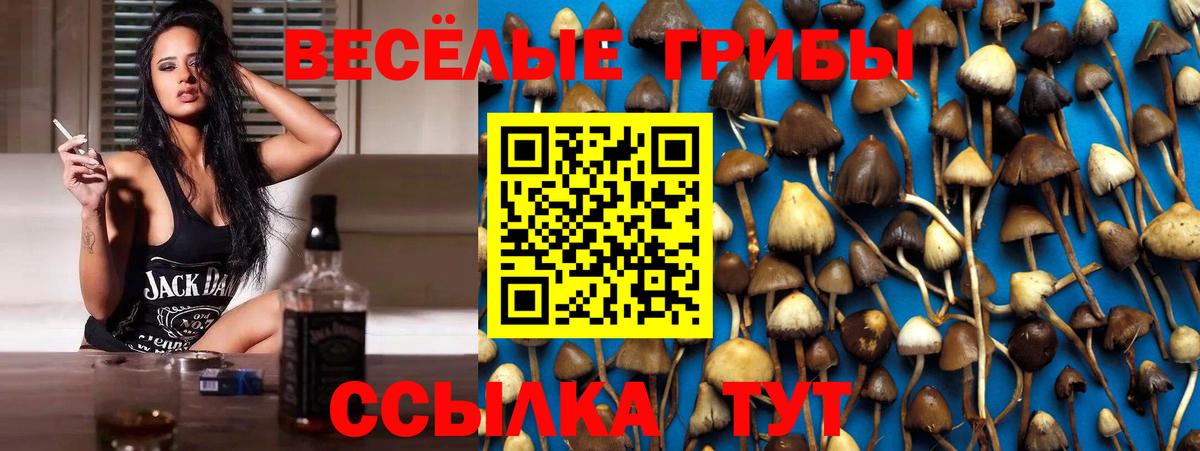 Псилоцибиновые грибы прущие грибы  Вход с VPN  Лабытнанги  Галлюциногенные грибы Psilocybe 