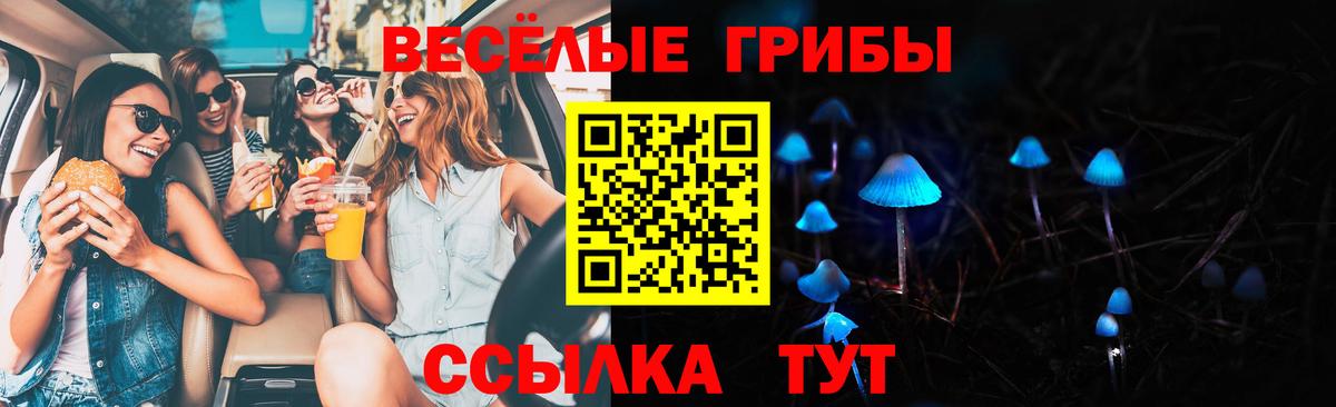 Псилоцибиновые грибы мицелий Лабытнанги